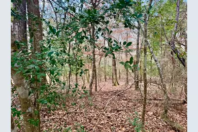 Lot 1 Lakeland Ranch Drive, Hillister, TX 77624 - Photo 17