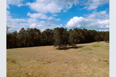 Lot 1 Lakeland Ranch Drive, Hillister, TX 77624 - Photo 23