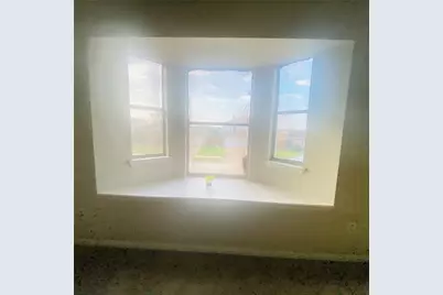 6527 River Bluff Drive, Houston, TX 77085 - Photo 15