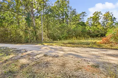 1224 Plum Pudding Road, Livingston, TX 77351 - Photo 3