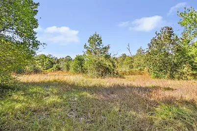 1224 Plum Pudding Road, Livingston, TX 77351 - Photo 1