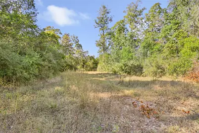 1224 Plum Pudding Road, Livingston, TX 77351 - Photo 7