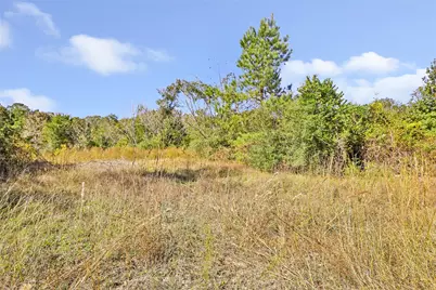 1224 Plum Pudding Road, Livingston, TX 77351 - Photo 3