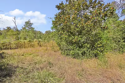 1224 Plum Pudding Road, Livingston, TX 77351 - Photo 5