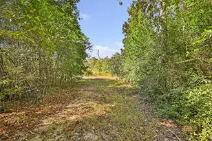 1224 Plum Pudding Rd, Livingston, TX 77351 - Photo 1