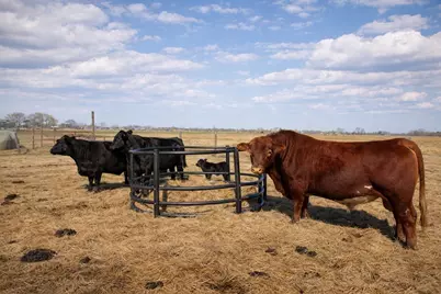 9439 Jeske Rd, Needville, TX 77461 - Photo 47