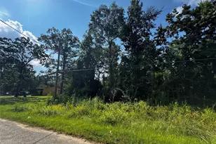 17632 Drowsy Pines, Conroe, TX 77306 - Photo 9