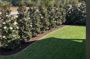 10815 Briar Branch Ln, Houston, TX 77024 - Photo 7