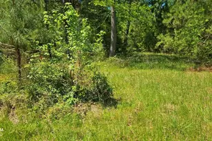 19588 Alford Rd, Magnolia, TX 77355 - Photo 3