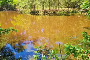 19588 Alford Rd, Magnolia, TX 77355 - Photo 5