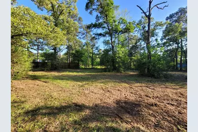 19588 Alford Road, Magnolia, TX 77355 - Photo 11