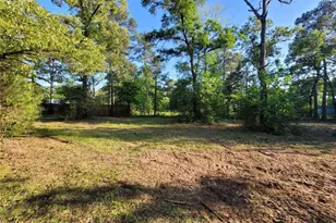 19588 Alford Rd, Magnolia, TX 77355 - Photo 11