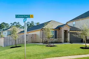 205 Cresta Cv Ct, Montgomery, TX 77316 - Photo 27