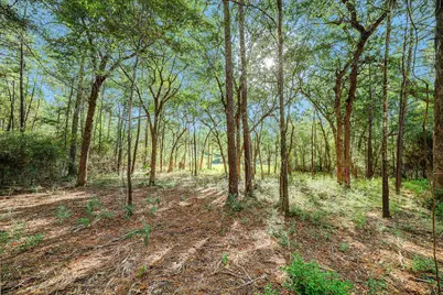 189 Rim Rock Road, Huntsville, TX 77340 - Photo 13
