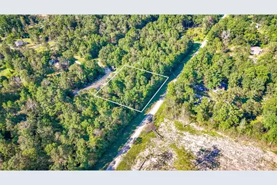 Tbd 25 Timber Grove, Livingston, TX 77351 - Photo 1
