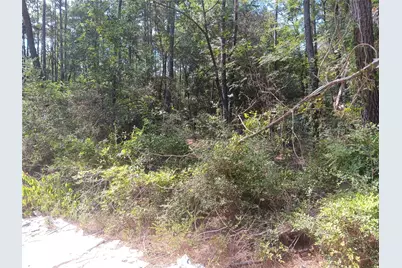 Lot 17 & 18 Honeylocust Lane, Plantersville, TX 77363 - Photo 3