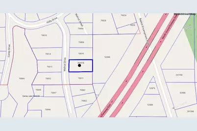 21117 Walnut Drive, New Caney, TX 77357 - Photo 3