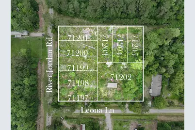 0 Leona Lane, Shepherd, TX 77371 - Photo 3
