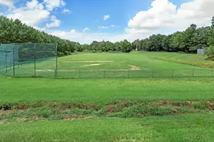 30601 Johnson Alley, Magnolia, TX 77355 - Photo 19