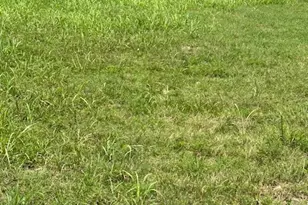 N/A Clearview Dr, Willis, TX 77318 - Photo 3