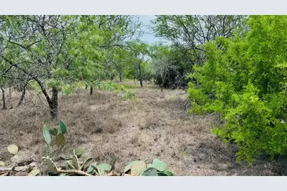 Tbd Lot 2 5.35 Ac Ridgeway Lane, Beeville, TX 78102 - Photo 5