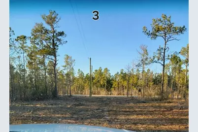 7915 Highway 69 N, Kountze, TX 77625 - Photo 7