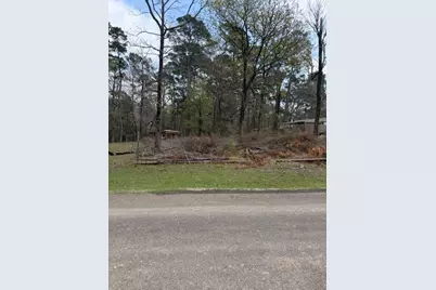 Lot 213 Dogwood Drive, Trinity, TX 75862 - Photo 3