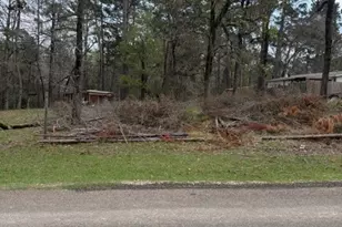 Lot 213 Dogwood Dr, Trinity, TX 75862 - Photo 3