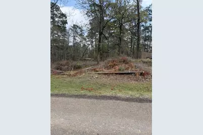 Lot 213 Dogwood Drive, Trinity, TX 75862 - Photo 5