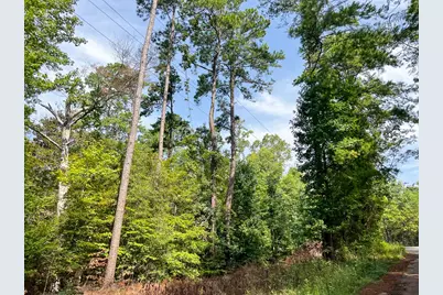 1 County Road 3725, Colmesneil, TX 75938 - Photo 25