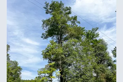 1 County Road 3725, Colmesneil, TX 75938 - Photo 23