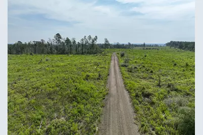 1 County Road 3725, Colmesneil, TX 75938 - Photo 7