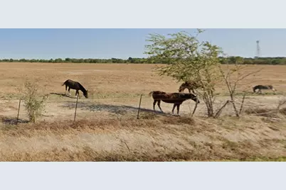 37070 Bell Road, Hempstead, TX 77445 - Photo 5