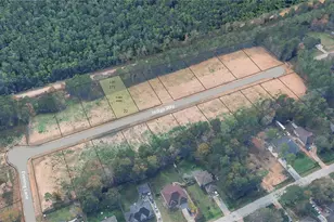 Lot 172 Indigo Way, Porter, TX 77365 - Photo 1