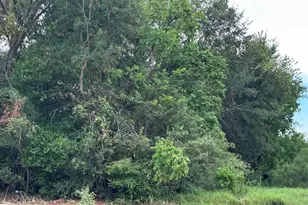 001 Fuqua St, Houston, TX 77075 - Photo 1