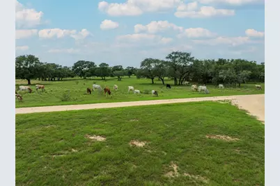 15545 State Highway 111 E, Yoakum, TX 77995 - Photo 5