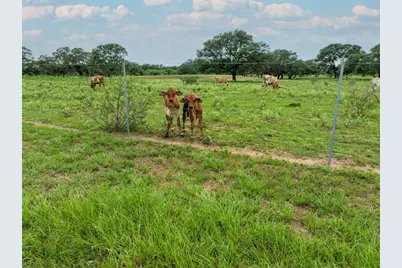 15545 State Highway 111 E, Yoakum, TX 77995 - Photo 43