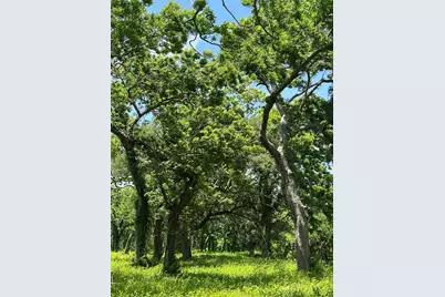 123 Oyster Creek Drive, Angleton, TX 77515 - Photo 3