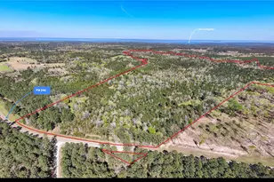 Tbd Fm 946, Coldspring, TX 77331 - Photo 1