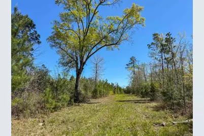 Tbd Fm 946, Coldspring, TX 77331 - Photo 11