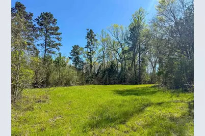 Tbd Fm 946, Coldspring, TX 77331 - Photo 9