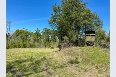 Tbd Fm 946, Coldspring, TX 77331 - Photo 31