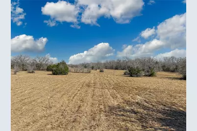 12599 Fm 2620, Bedias, TX 77831 - Photo 5