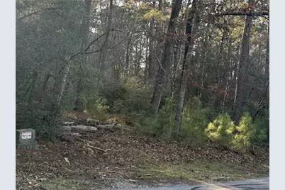 172 N Fairway Loop, Coldspring, TX 77331 - Photo 3