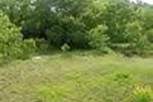 4147 Fuqua St, Houston, TX 77048 - Photo 5