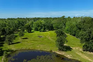 32011 Pattys Landing, Magnolia, TX 77354 - Photo 49