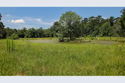 32011 Pattys Landing, Magnolia, TX 77354 - Photo 39