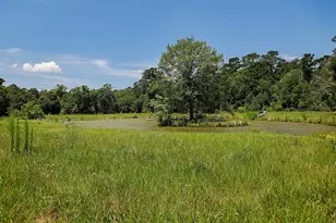32011 Pattys Landing, Magnolia, TX 77354 - Photo 39