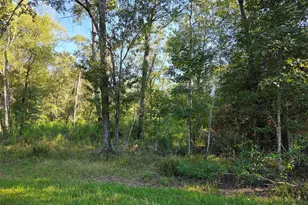 00 Tidwell Ln, Shepherd, TX 77371 - Photo 1