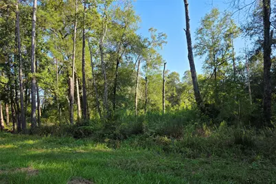 00 Tidwell Lane, Shepherd, TX 77371 - Photo 3